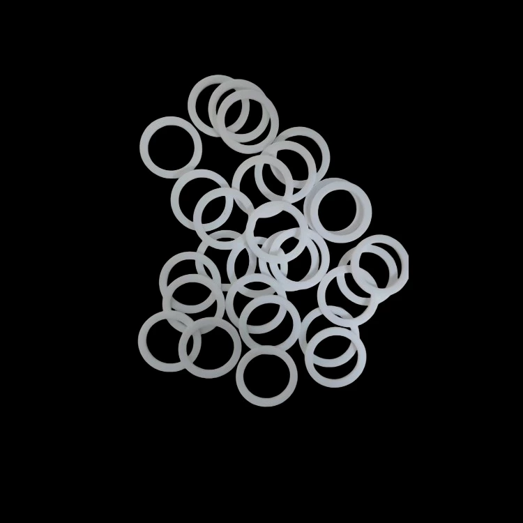 PTFE Washer